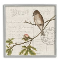 Stupell Industries Song Bird Tree Branch Vintage Postal Card minta, 12, Kim Allen tervezése