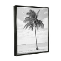 Stupell Industries Egyetlen palmfa monokróm trópusi tengerparti növényi fénykép Jet fekete úszó keretes vászon nyomtatott fali