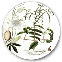 Designart 'ősi növényi élet iv' parasztház körfém fali művészet - 11 -es lemez