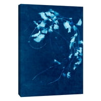 Képek, Cyanotype Plant 4, 16x20, dekoratív vászon fali művészet