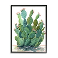 Stupell Botanikus sivatagi tüskés körte kaktusz botanikus és virágfestés fekete keretes művészet nyomtatott fali művészet