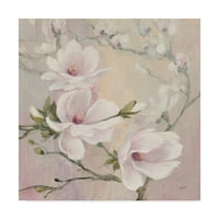 Védjegy képzőművészet 'Blushing Magnolias' vászon művészet Julia Purinton