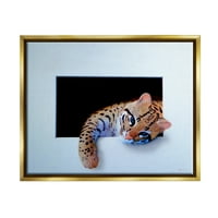 Stupell Industries baby Ocelot macska pihentető mancs sötét titokzatos űrfestés Fémes arany úszó keretes vászon nyomtatott fali
