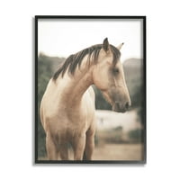 Stupell Industries Serene vidéki táj barna ló portréfotózás fekete keretes művészeti nyomtatási fal művészet, 24x30