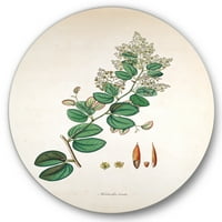 Designart 'Ancient Botanicals xiii' parasztház Circle Metal Wall Art - 23 lemez