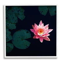 Stupell Industries Pink Lotus Pond Lily virág botanikai és virágos fotózás fehér keretes művészet nyomtatott fali művészet