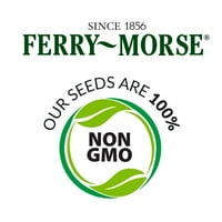 Ferry-Morse 3G cukorrépa arany Detroit növényi növények magok csomag-vetőmag Kertészet, teljes napfény